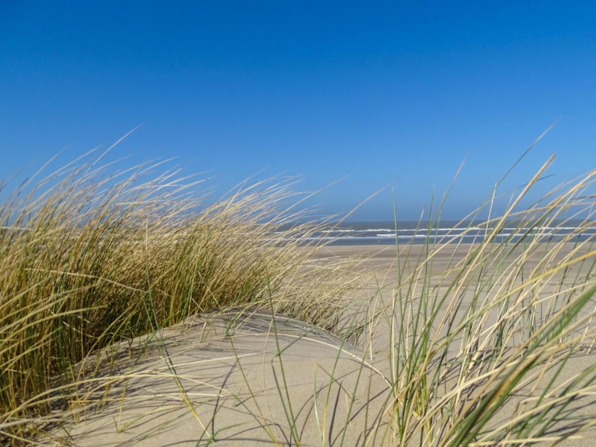 B&B De Drukkerij Zandvoort - Luxury Private Guesthouse Dış mekan fotoğraf